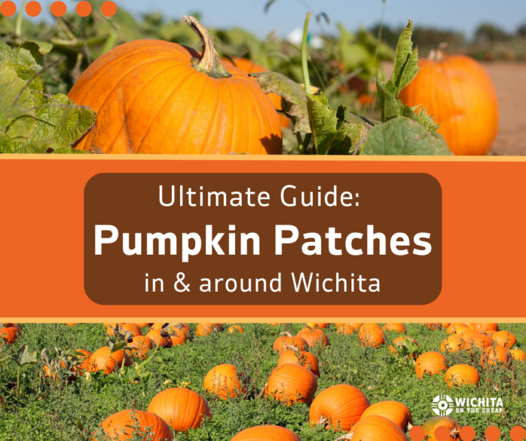 pumpkin patch ultimate guide