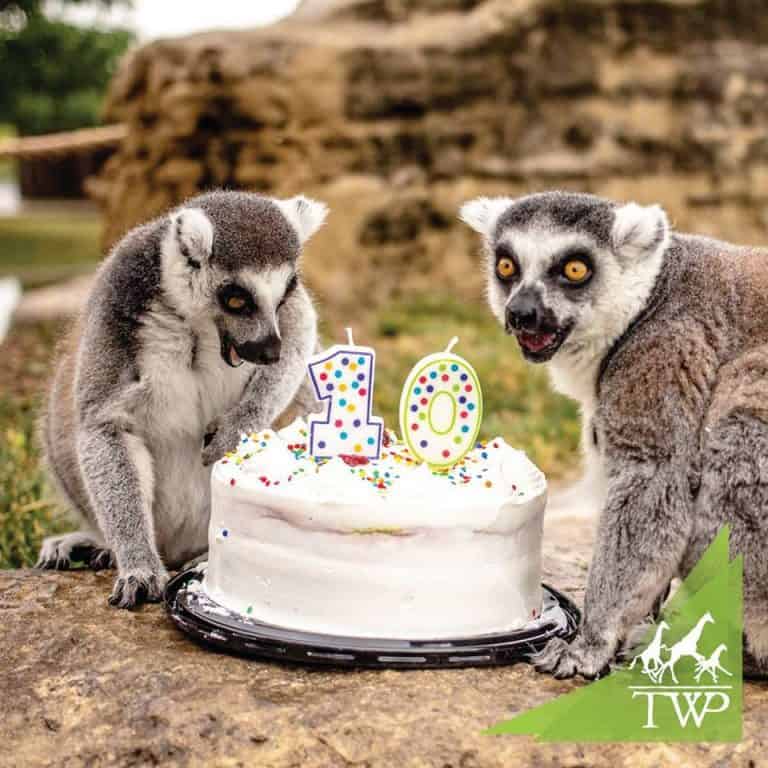 Tanganyika 10th Anniversary Celebration