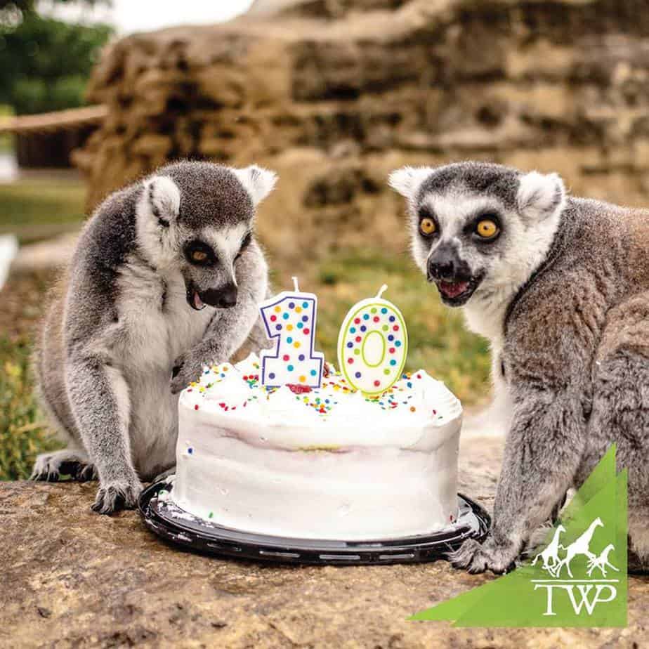 Tanganyika 10th Anniversary Celebration