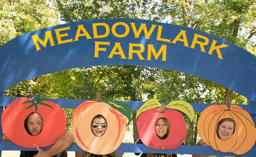 Funny photo opp in 2016 at Meadowlark Farm in Kansas