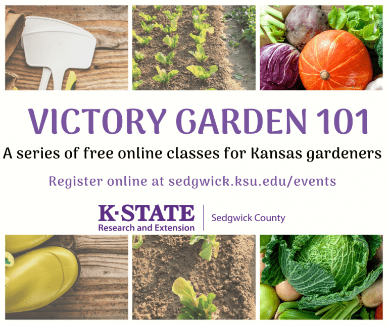 free gardening classes online from k-state research and extension sedgwick county