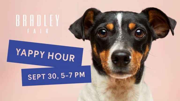 yappy-hour